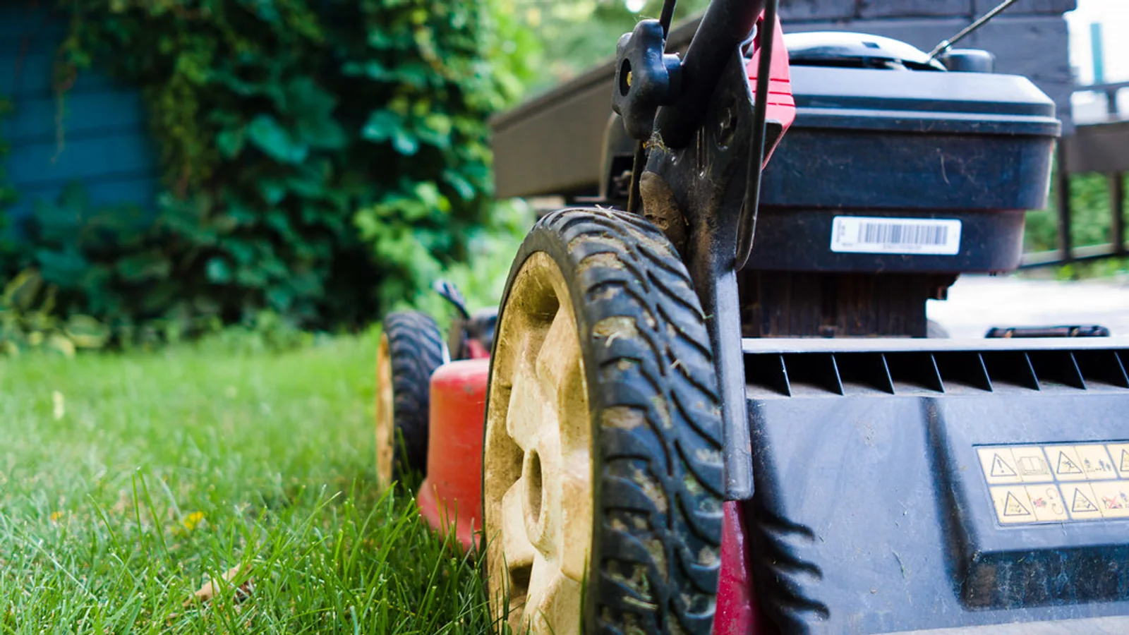 A walk-behind lawn mower rests on green grass, viewed close to its rear wheel.