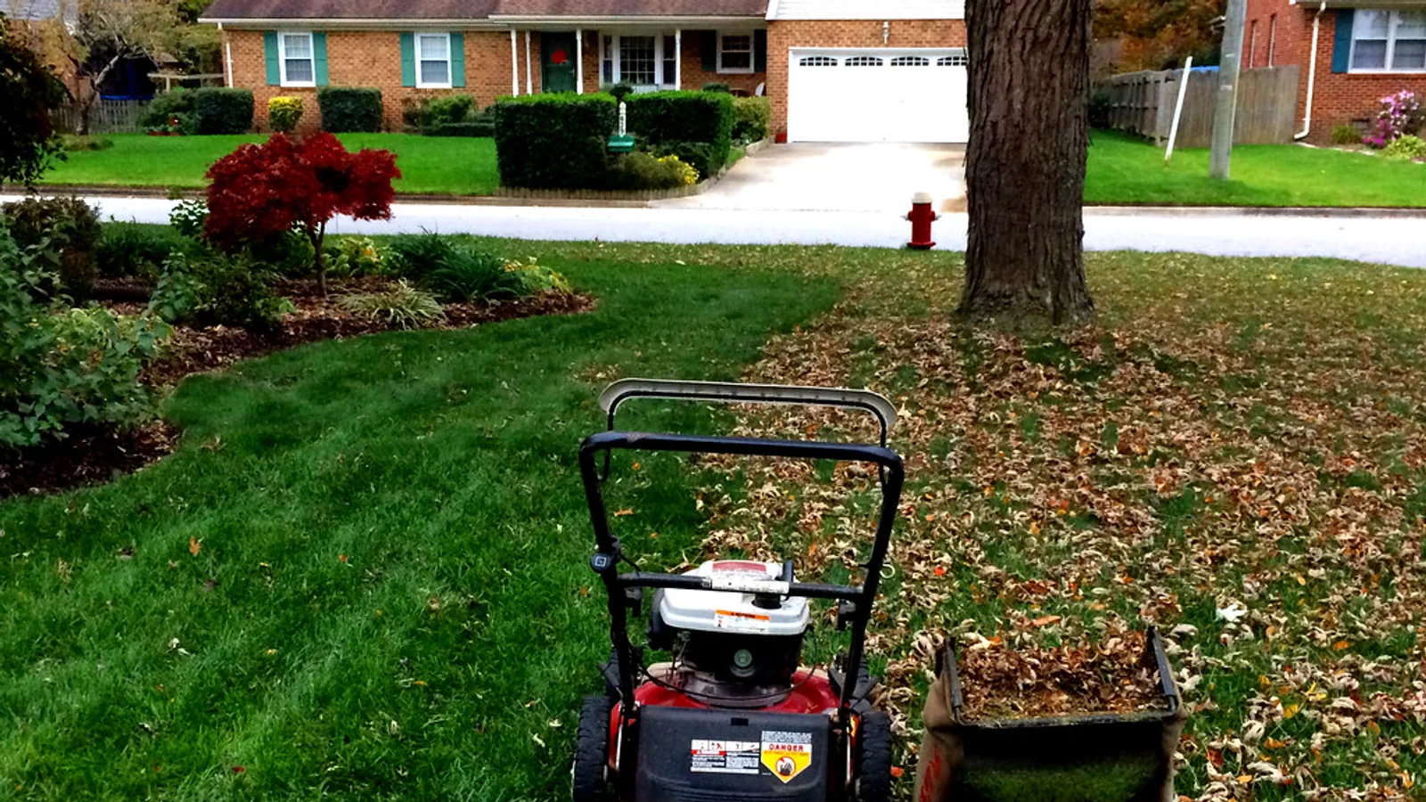 Push mower with a collection bag beside a green lawn scattered with fallen brown leaves