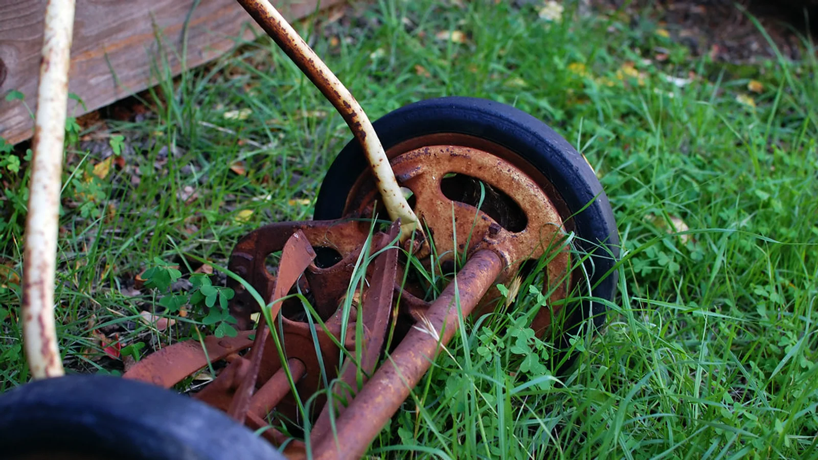 Close view of a manual reel mower wheel and cutting reel resting in tall green grass