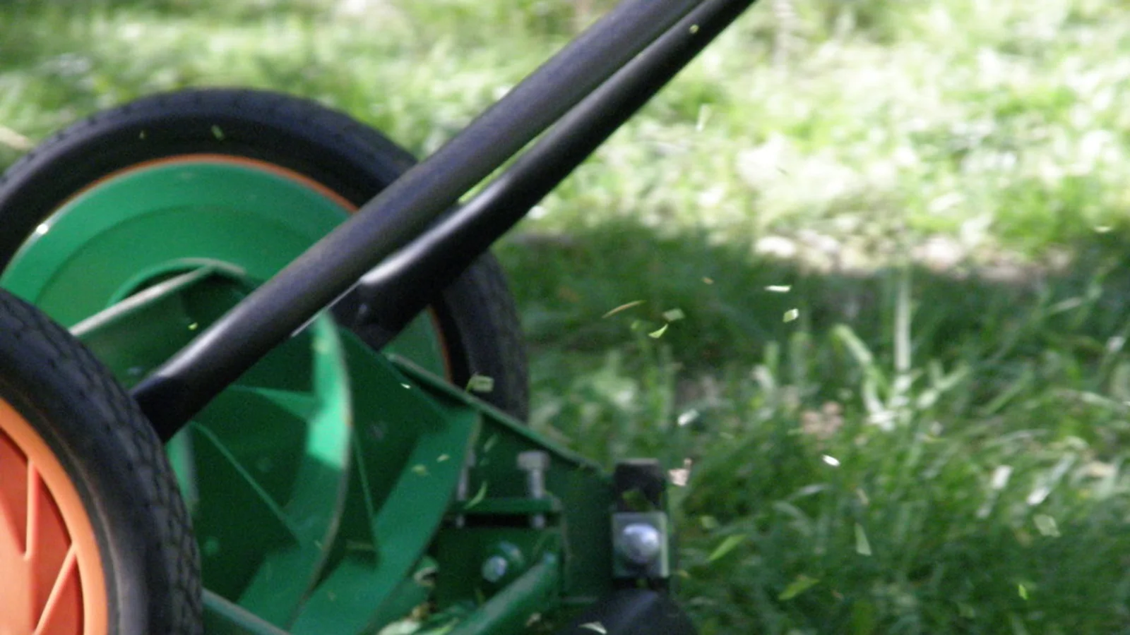Close view of a mower wheel cutting green grass as fine clippings scatter behind it