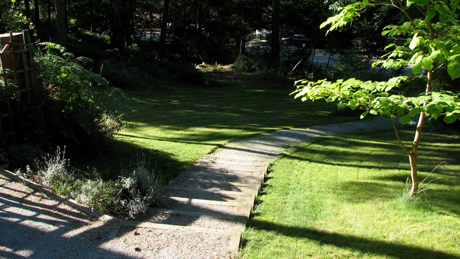 Freshly mown green lawn curving around a shaded garden path and mature trees