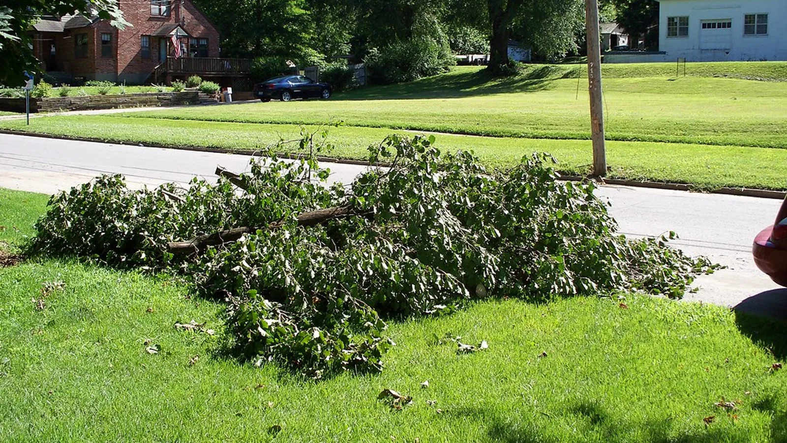 Broken tree limbs lie on a green lawn near a curb after a storm.